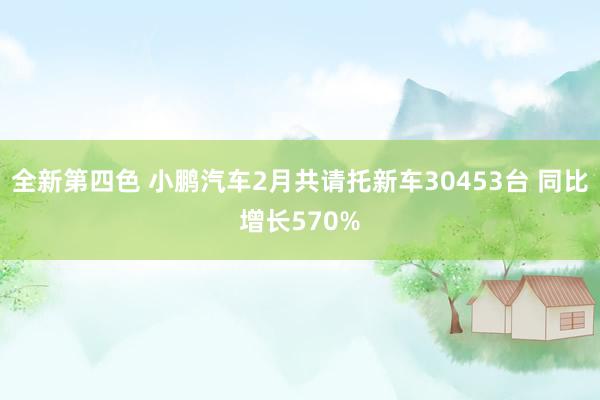 全新第四色 小鹏汽车2月共请托新车30453台 同比增长570%