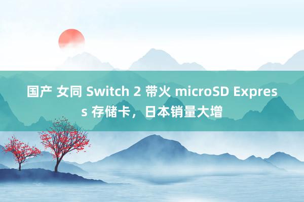 国产 女同 Switch 2 带火 microSD Express 存储卡，日本销量大增