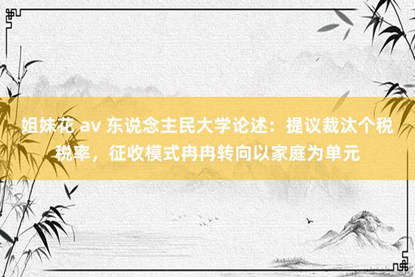 姐妹花 av 东说念主民大学论述：提议裁汰个税税率，征收模式冉冉转向以家庭为单元