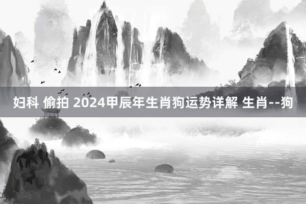 妇科 偷拍 2024甲辰年生肖狗运势详解 生肖--狗